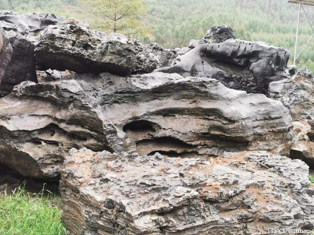 风景石、假山石大量有货，有需要的欢迎联系 - 新手上路 - 郴州生活社区 - 郴州28生活网 chenzhou.28life.com