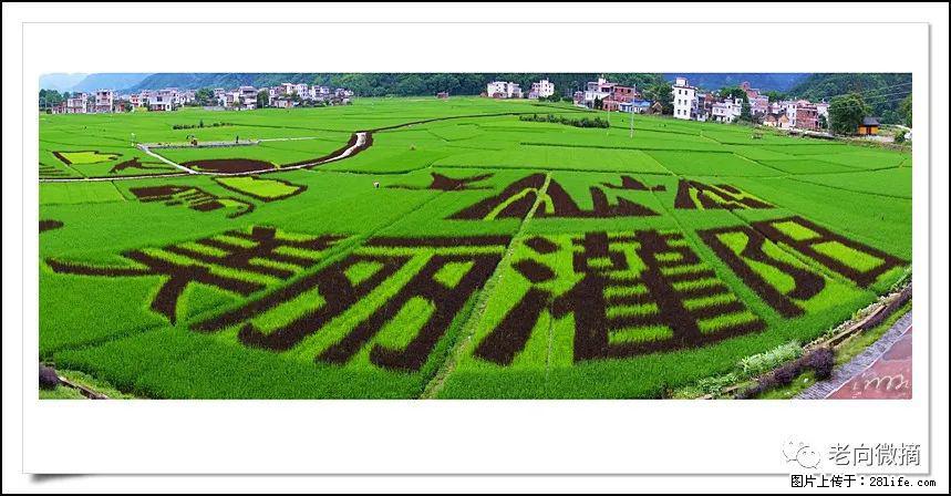 【春天,广西桂林灌阳县向您发出邀请!】开篇 - 游山玩水 - 郴州生活社区 - 郴州28生活网 chenzhou.28life.com