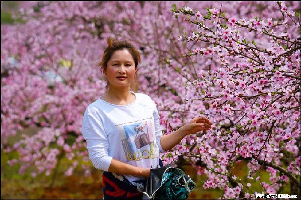 【春天，广西桂林灌阳县向您发出邀请！】官庄村有个醉美的桃花园 - 游山玩水 - 郴州生活社区 - 郴州28生活网 chenzhou.28life.com