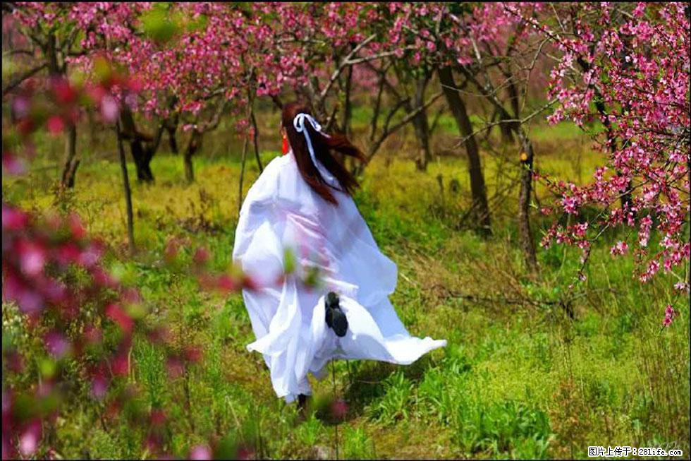 【春天，广西桂林灌阳县向您发出邀请！】官庄村有个醉美的桃花园 - 游山玩水 - 郴州生活社区 - 郴州28生活网 chenzhou.28life.com