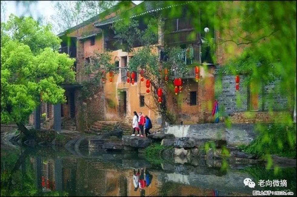 【春天,广西桂林灌阳县向您发出邀请!】江口老街又逢春 - 游山玩水 - 郴州生活社区 - 郴州28生活网 chenzhou.28life.com