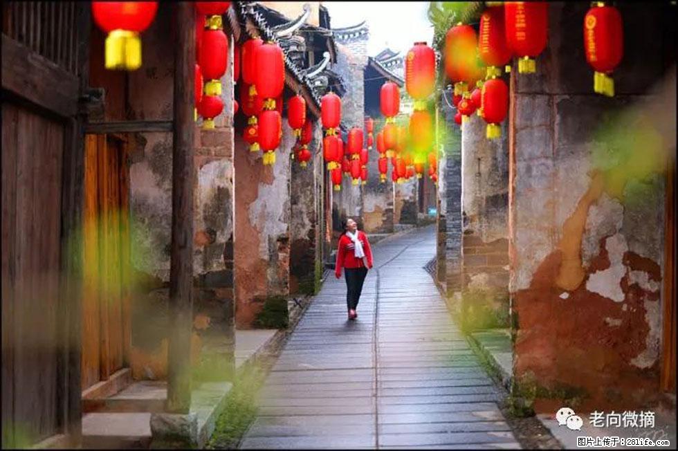 【春天,广西桂林灌阳县向您发出邀请!】江口老街又逢春 - 游山玩水 - 郴州生活社区 - 郴州28生活网 chenzhou.28life.com