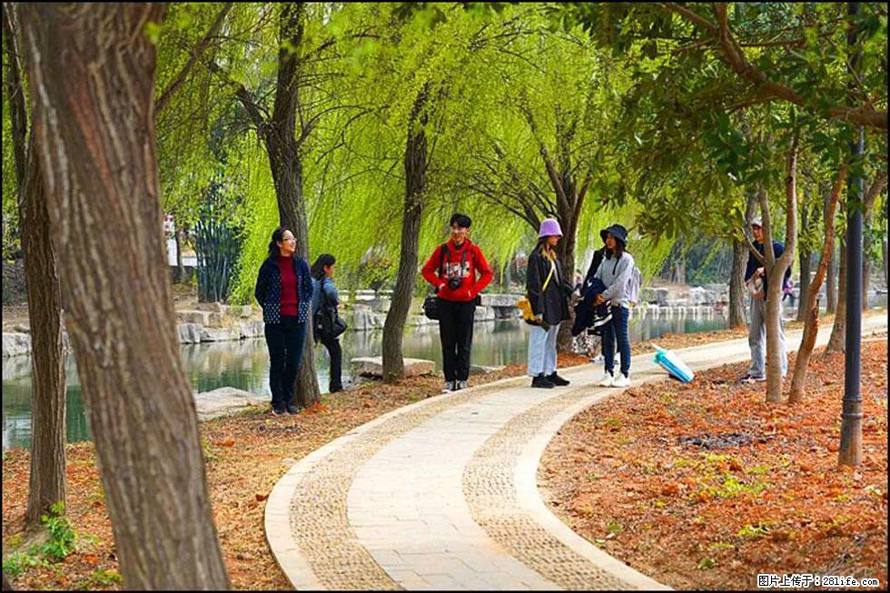 【春天,广西桂林灌阳县向您发出邀请!】江口老街又逢春 - 游山玩水 - 郴州生活社区 - 郴州28生活网 chenzhou.28life.com