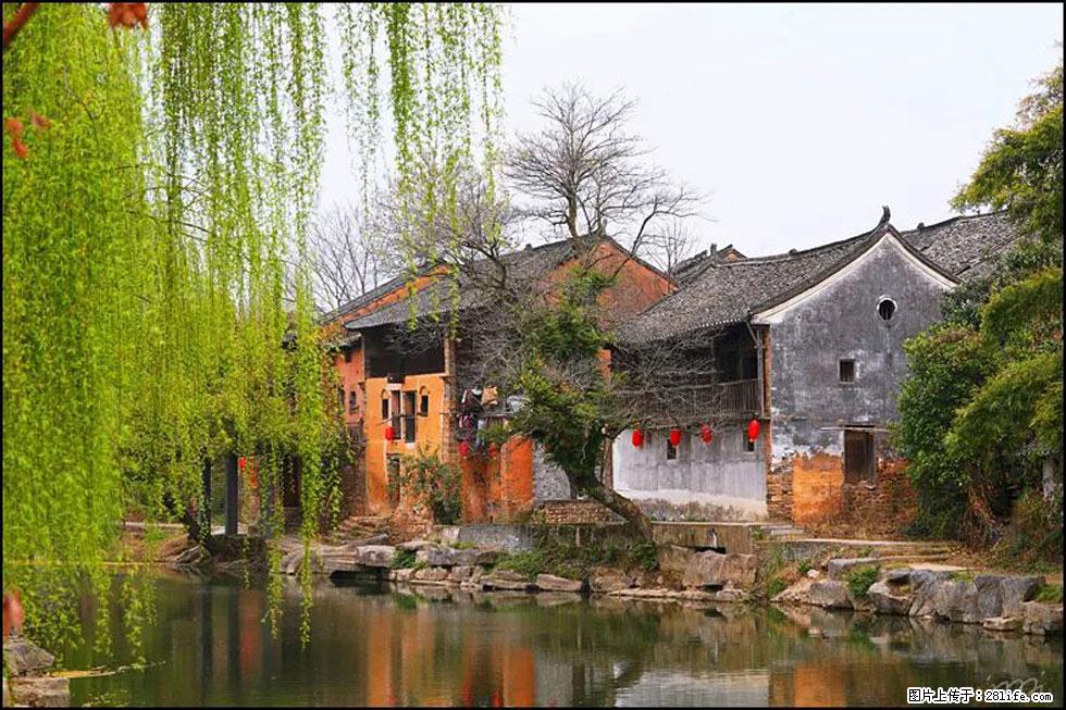 【春天,广西桂林灌阳县向您发出邀请!】江口老街又逢春 - 游山玩水 - 郴州生活社区 - 郴州28生活网 chenzhou.28life.com