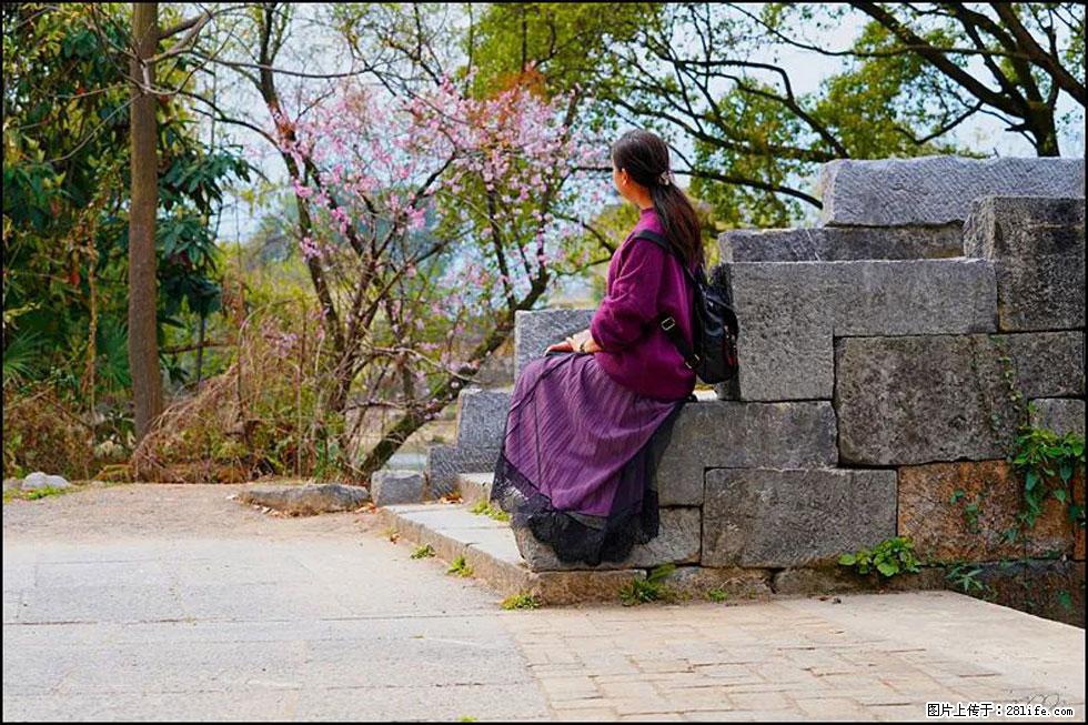 【春天,广西桂林灌阳县向您发出邀请!】江口老街又逢春 - 游山玩水 - 郴州生活社区 - 郴州28生活网 chenzhou.28life.com