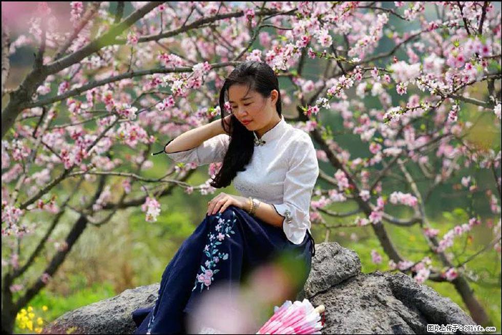 【春天,广西桂林灌阳县向您发出邀请!】望月岭上桃花开 - 游山玩水 - 郴州生活社区 - 郴州28生活网 chenzhou.28life.com