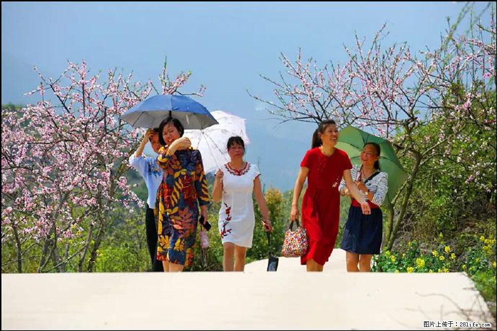【春天，广西桂林灌阳县向您发出邀请！】望月岭上桃花开 - 游山玩水 - 郴州生活社区 - 郴州28生活网 chenzhou.28life.com