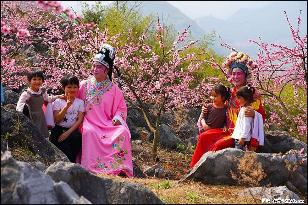 【春天，广西桂林灌阳县向您发出邀请！】望月岭上桃花开 - 游山玩水 - 郴州生活社区 - 郴州28生活网 chenzhou.28life.com