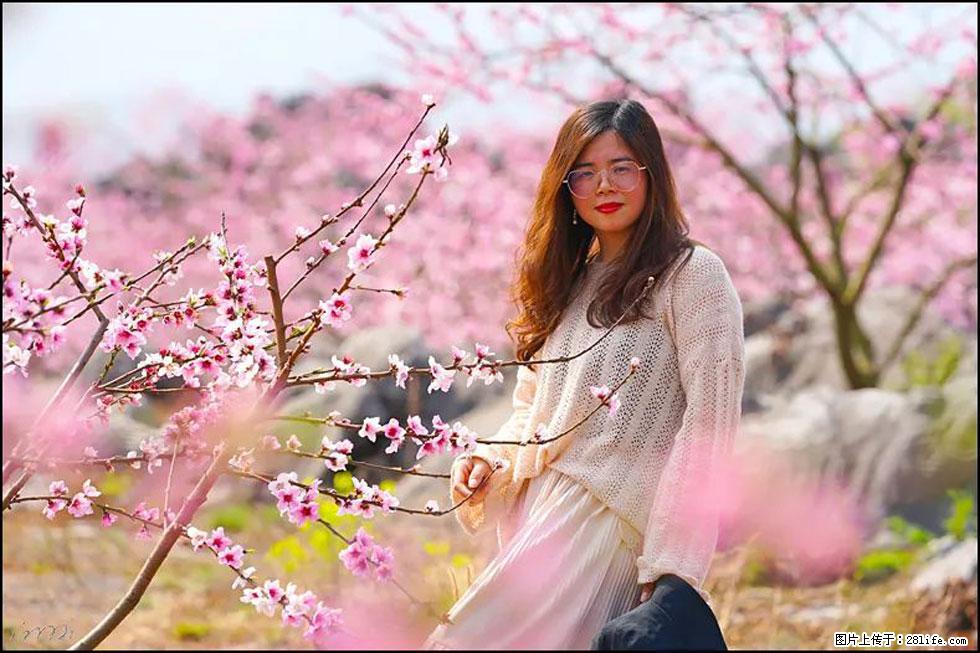 【春天，广西桂林灌阳县向您发出邀请！】望月岭上桃花开 - 游山玩水 - 郴州生活社区 - 郴州28生活网 chenzhou.28life.com