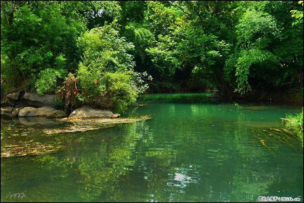 【春天，广西桂林灌阳县向您发出邀请！】如梦似幻莲溪庐 - 游山玩水 - 郴州生活社区 - 郴州28生活网 chenzhou.28life.com