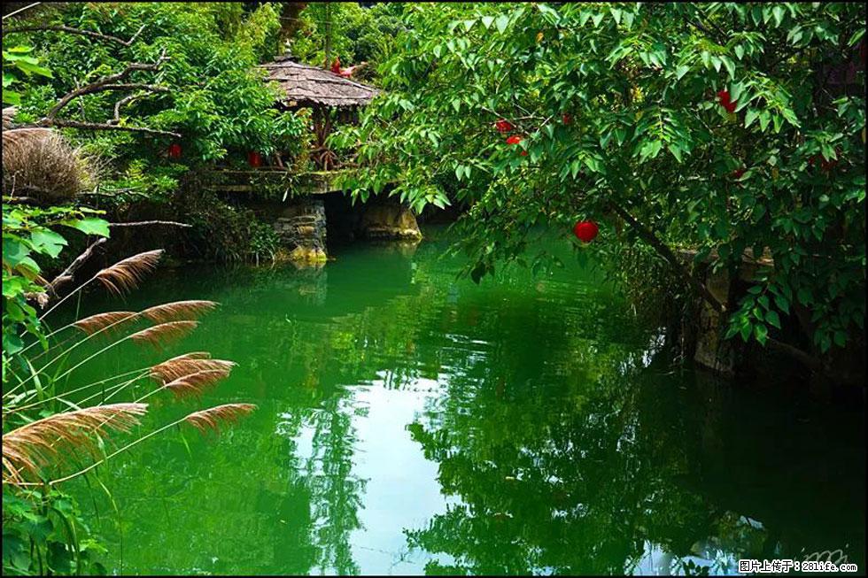 【春天，广西桂林灌阳县向您发出邀请！】如梦似幻莲溪庐 - 游山玩水 - 郴州生活社区 - 郴州28生活网 chenzhou.28life.com