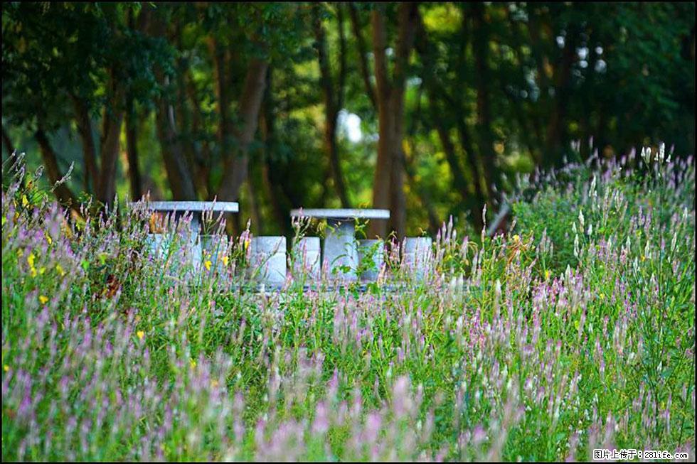 【春天,广西桂林灌阳县向您发出邀请!】熊家寨湿地公园 - 游山玩水 - 郴州生活社区 - 郴州28生活网 chenzhou.28life.com