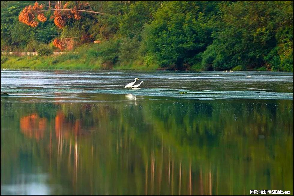 【春天,广西桂林灌阳县向您发出邀请!】熊家寨湿地公园 - 游山玩水 - 郴州生活社区 - 郴州28生活网 chenzhou.28life.com