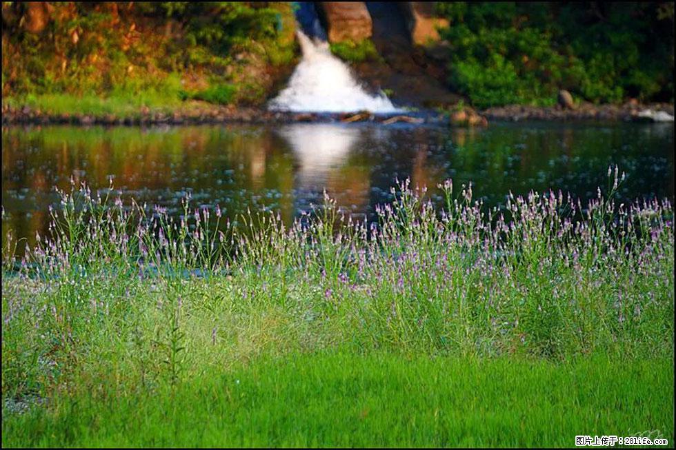 【春天,广西桂林灌阳县向您发出邀请!】熊家寨湿地公园 - 游山玩水 - 郴州生活社区 - 郴州28生活网 chenzhou.28life.com