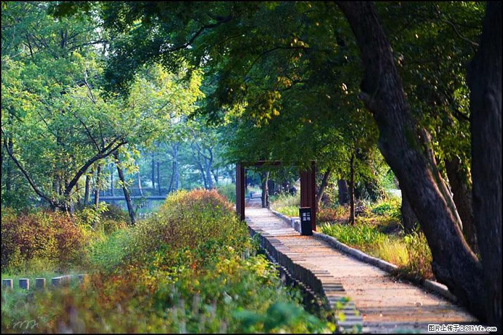 【春天,广西桂林灌阳县向您发出邀请!】熊家寨湿地公园 - 游山玩水 - 郴州生活社区 - 郴州28生活网 chenzhou.28life.com