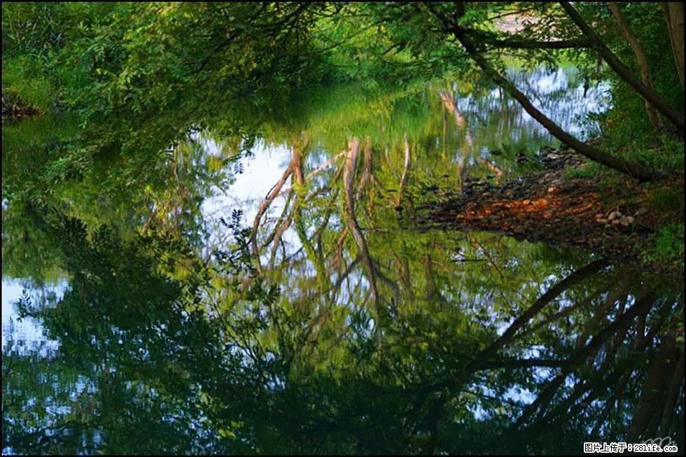 【春天,广西桂林灌阳县向您发出邀请!】熊家寨湿地公园 - 游山玩水 - 郴州生活社区 - 郴州28生活网 chenzhou.28life.com