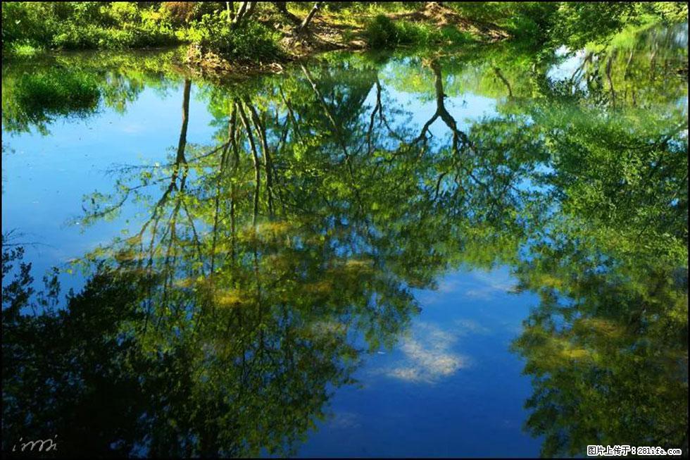 【春天,广西桂林灌阳县向您发出邀请!】熊家寨湿地公园 - 游山玩水 - 郴州生活社区 - 郴州28生活网 chenzhou.28life.com