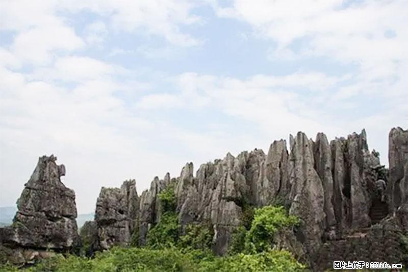 桂林旅游名城景点:灌阳文市石林 - 游山玩水 - 郴州生活社区 - 郴州28生活网 chenzhou.28life.com