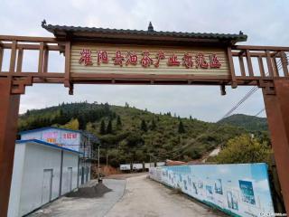 【灌阳县油茶产业示范区】一个有着充实的精神生活的人，对待身外之物自会有一种淡泊的态度 - 郴州28生活网 chenzhou.28life.com