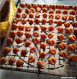 广西桂林平乐桥亭【柿饼之乡】2025年纯手工制作、无任何添加剂的第一批柿饼准备上市了，欢迎联系订购！ - 郴州28生活网 chenzhou.28life.com