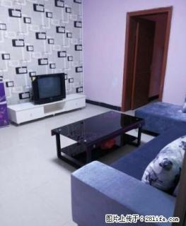 出租-香雪路华夏公寓精装单间/一室//两室/三室新房650元 - 郴州28生活网 chenzhou.28life.com