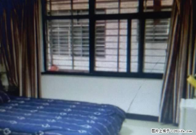 人人乐楼上,实验中学旁精装一房业主急租!!! - 房屋出租 - 房屋租售 - 郴州分类信息 - 郴州28生活网 chenzhou.28life.com