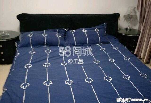 人人乐上面天润天城精装一房出租 1室1厅1卫 - 房屋出租 - 房屋租售 - 郴州分类信息 - 郴州28生活网 chenzhou.28life.com