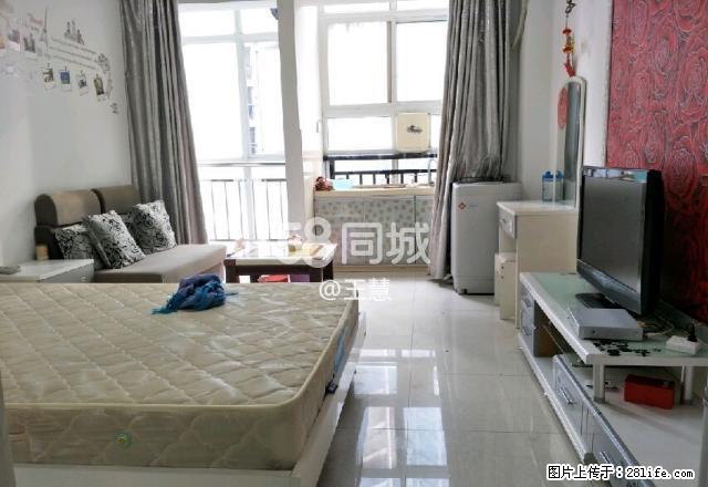 香雪路万豪国际酒店旁精装公寓 1室1厅1卫 - 房屋出租 - 房屋租售 - 郴州分类信息 - 郴州28生活网 chenzhou.28life.com