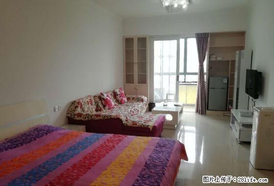 新贵华城 精装一房公寓 推出,仅租1200,随时看房 - 房屋出租 - 房屋租售 - 郴州分类信息 - 郴州28生活网 chenzhou.28life.com