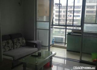 新贵华城单身公寓免中介费 - 郴州28生活网 chenzhou.28life.com