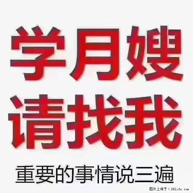 【招聘】月嫂，上海徐汇区 - 职场交流 - 郴州生活社区 - 郴州28生活网 chenzhou.28life.com