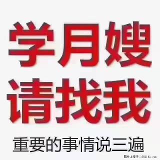 【招聘】月嫂，上海徐汇区 - 郴州28生活网 chenzhou.28life.com