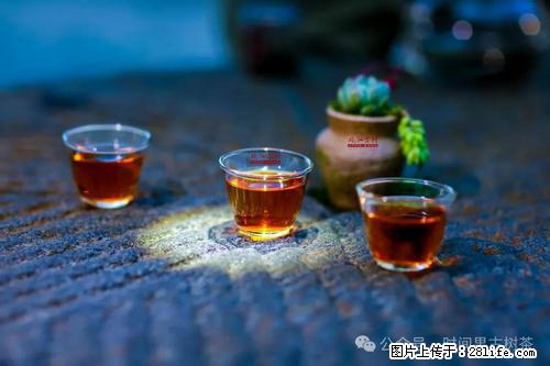 时间果百年古树2025年春红茶 - 购物交流 - 郴州生活社区 - 郴州28生活网 chenzhou.28life.com