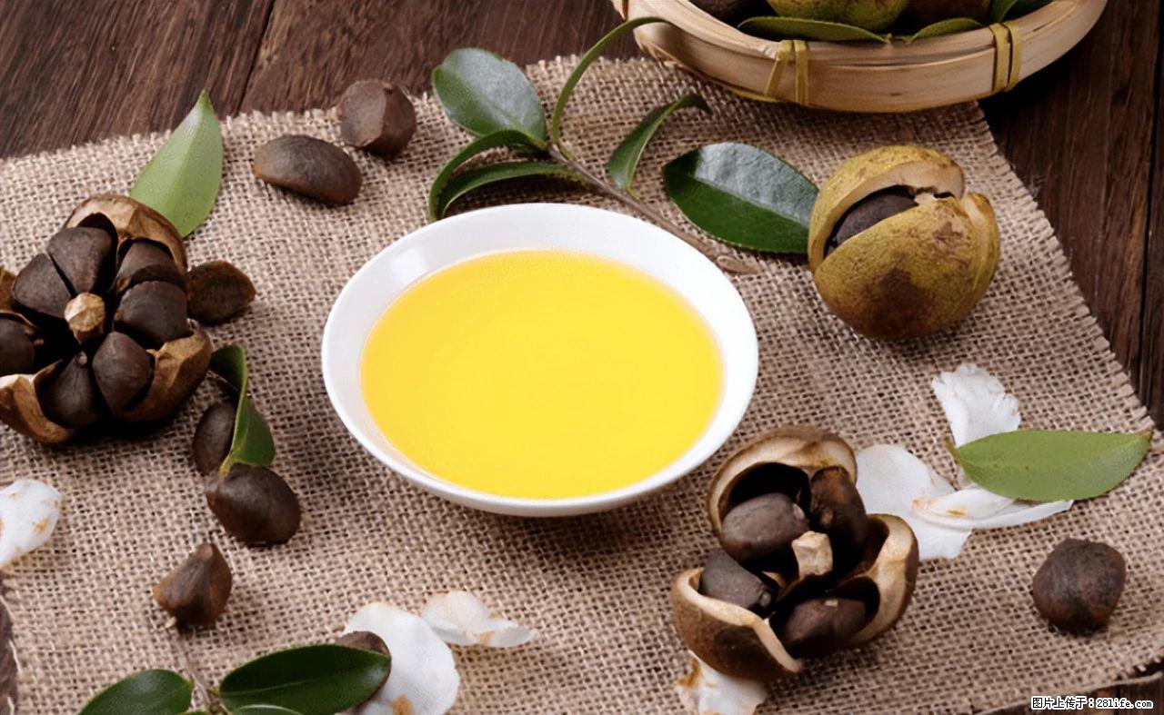 揭秘茶油的5大核心营养成分！被称为人体健康的“守护盾”！ - 郴州生活资讯 - 郴州28生活网 chenzhou.28life.com