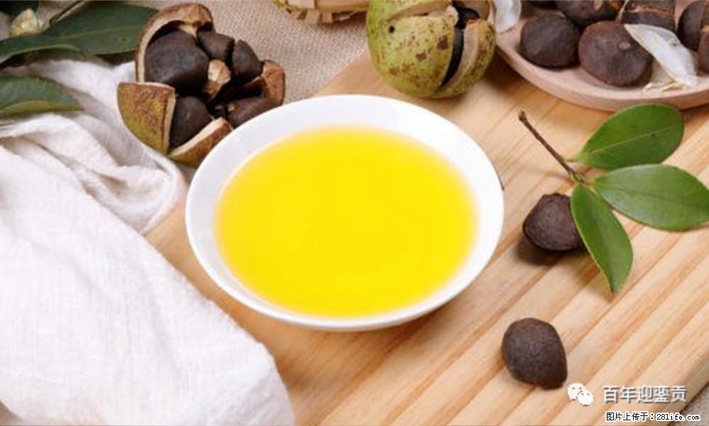 揭秘茶油的5大核心营养成分！被称为人体健康的“守护盾”！ - 郴州生活资讯 - 郴州28生活网 chenzhou.28life.com