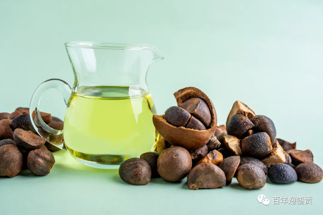 世界没有真相，只有认知，最好的食用油是中国的山茶油！ - 郴州生活资讯 - 郴州28生活网 chenzhou.28life.com