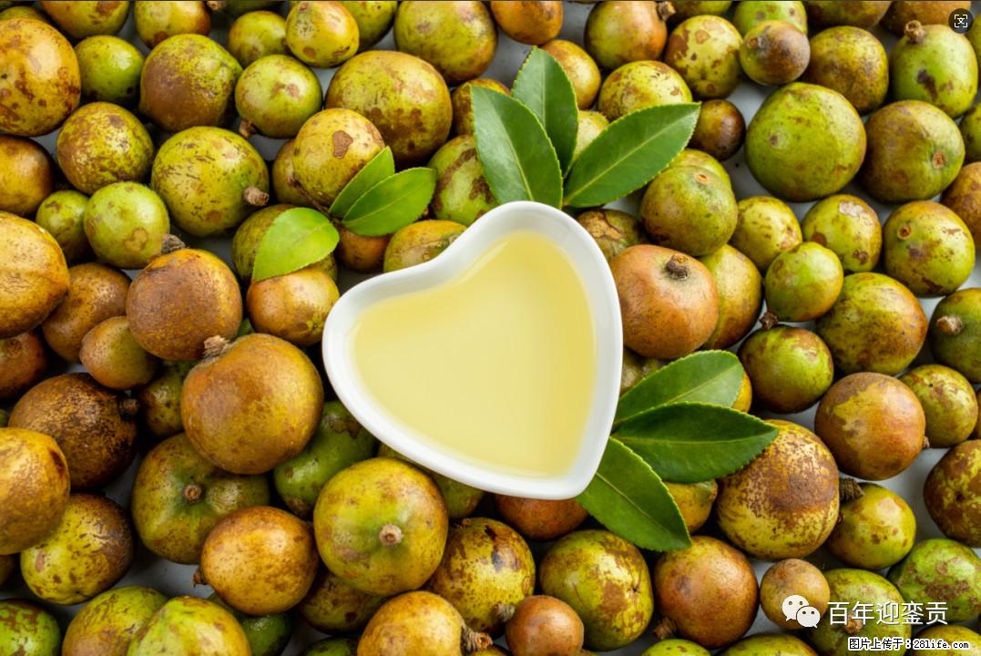 世界没有真相，只有认知，最好的食用油是中国的山茶油！ - 郴州生活资讯 - 郴州28生活网 chenzhou.28life.com