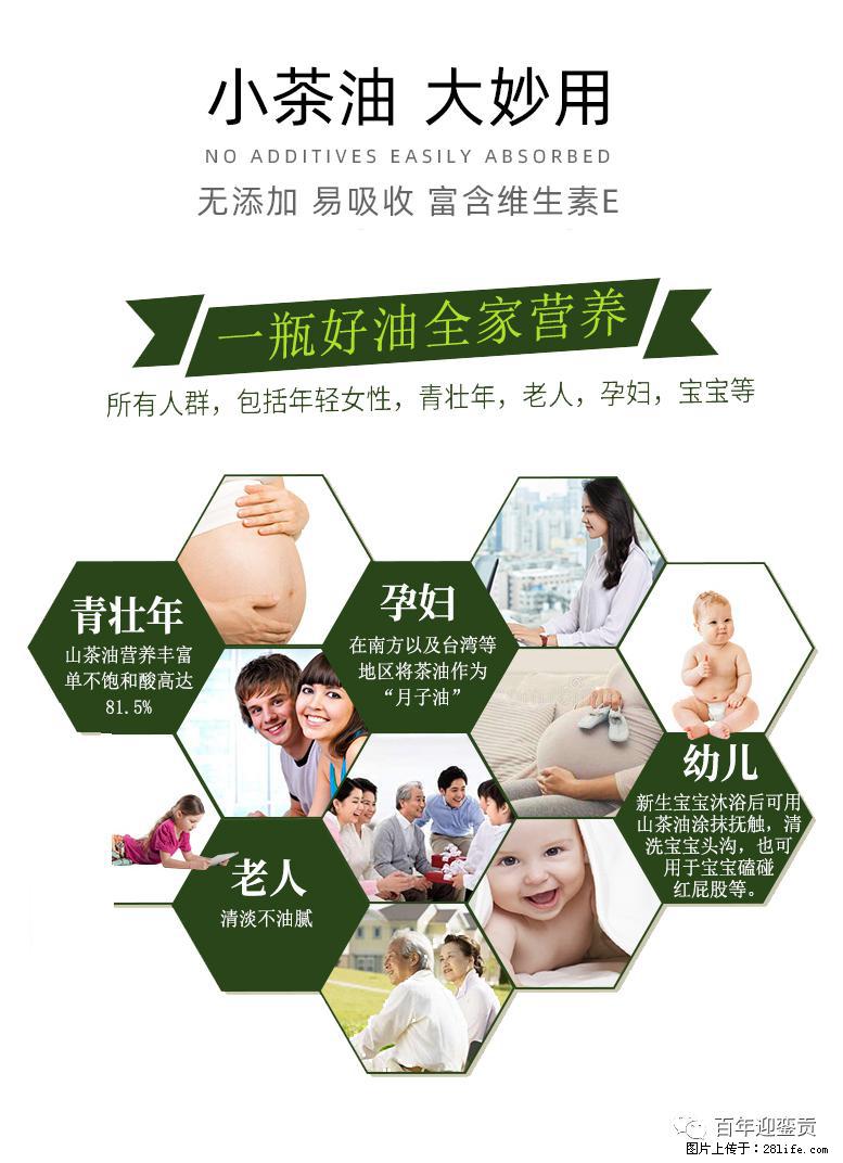 世界没有真相，只有认知，最好的食用油是中国的山茶油！ - 郴州生活资讯 - 郴州28生活网 chenzhou.28life.com