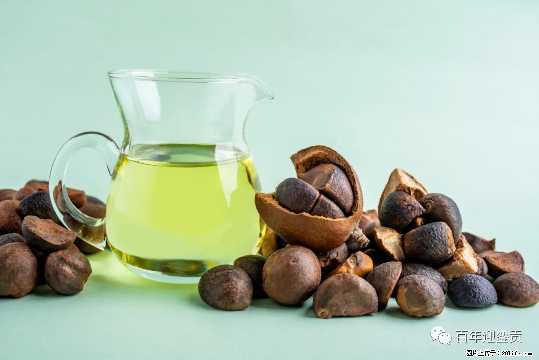世界没有真相，只有认知，最好的食用油是中国的山茶油！ - 郴州生活资讯 - 郴州28生活网 chenzhou.28life.com