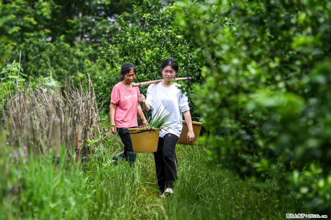 全网追的“扁担女孩”,找了一份暑假工,时薪12元 - 郴州生活资讯 - 郴州28生活网 chenzhou.28life.com