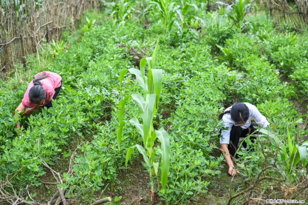 全网追的“扁担女孩”,找了一份暑假工,时薪12元 - 郴州生活资讯 - 郴州28生活网 chenzhou.28life.com