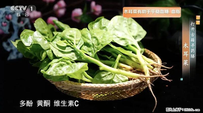 比牛奶补钙还厉害!凉血解毒、稳血糖...这菜冬天必吃,很多人却当草 - 郴州生活资讯 - 郴州28生活网 chenzhou.28life.com