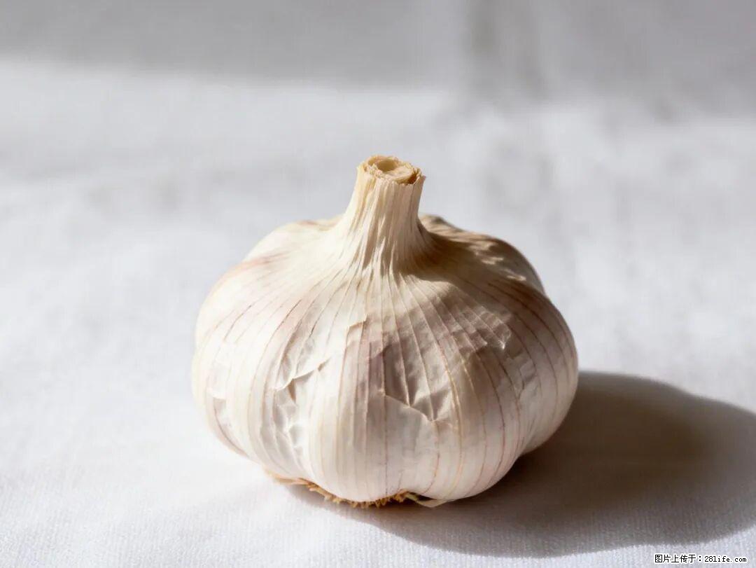 关于大蒜，除了“天然抗生素”，这4个谣言更该警惕! - 郴州生活资讯 - 郴州28生活网 chenzhou.28life.com