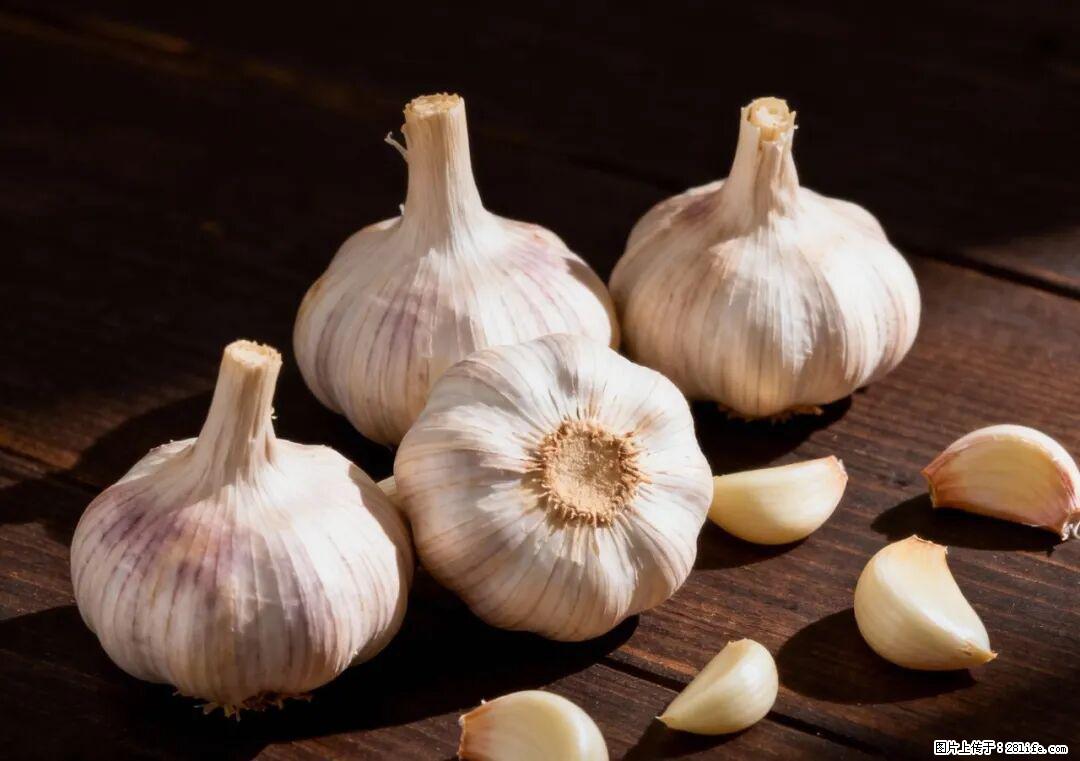 关于大蒜，除了“天然抗生素”，这4个谣言更该警惕! - 郴州生活资讯 - 郴州28生活网 chenzhou.28life.com