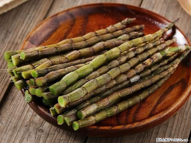 铁皮石斛的作用与功能主治 - 郴州生活资讯 - 郴州28生活网 chenzhou.28life.com